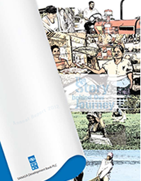 SDB annual report 2012