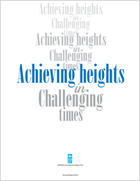 SDB annual report 2013