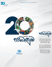SDB annual report 2017