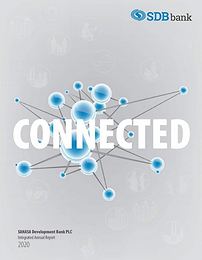 SDB annual report 2020