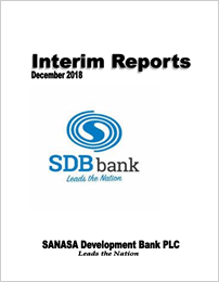 Interim report December 2018