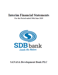 Interim report June 2019