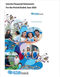 Interim report June 2023