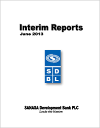 Interim report June 2013