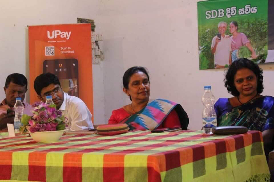 sdb divisaviya