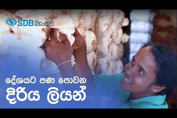 Empowering women entrepreneurs thumb