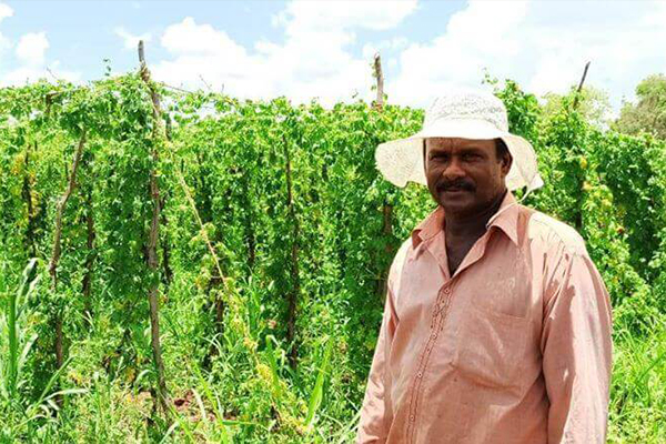 Sdb bank supports farmers through timely financial solutions thumb